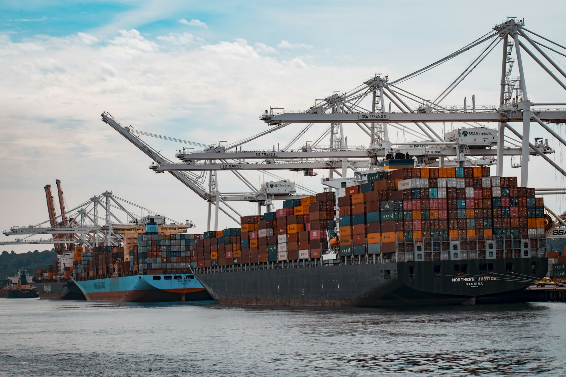 Port cranes loading shipping containers